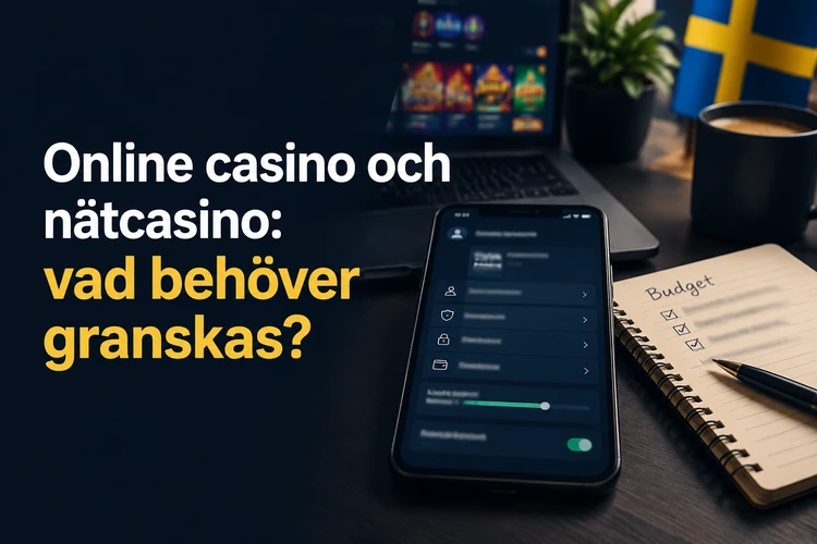Online casino och nätcasino: vad behöver granskas?